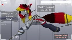 Size: 3840x2160 | Tagged: safe, artist:monycaalot, derpibooru import, oc, oc:traga, unofficial characters only, bat pony, series:catto's vore stream, angry, bat pony oc, bat wings, clothes, fangs, image, implied vore, incentive drive, livestream, looking at you, male, png, robotic arm, socks, suspended, wings