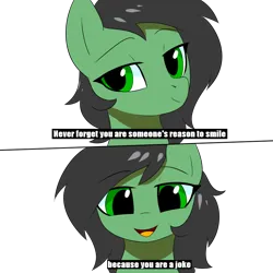 Size: 1024x1024 | Tagged: artist needed, safe, derpibooru import, oc, oc:anonfilly, earth pony, pony, female, filly, image, insult, joke, looking at you, png, smug, solo