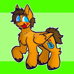 Size: 652x652 | Tagged: safe, artist:electronicfurbymusic, derpibooru import, ponified, pegasus, pony, blue eyes, brown mane, brown tail, folded wings, geoff wigington, green background, grin, happy, image, open mouth, orange coat, png, raised hoof, simple background, smiling, solo, tail, unshorn fetlocks, waterparks, wings