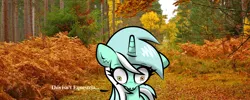 Size: 1500x600 | Tagged: safe, anonymous artist, artist:scandianon, derpibooru import, lyra heartstrings, pony, unicorn, 4chan, autumn, female, fisheye lens, floppy ears, foliage, g4, horn, image, irl, kubrick stare, leaves, looking down, mare, outdoors, photo, pinpoint eyes, png, ponies in real life, real life background, scenery, shocked, shocked expression, shrunken pupils, solo, speech bubble, talking, talking to herself, text, text bubbles, tree