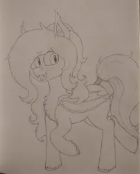 Size: 2856x3529 | Tagged: safe, artist:curly horse, derpibooru import, oc, oc:umbra glow, bat pony, pony, chest fluff, female, fluffy, freckles, happy, image, jpeg, mare, pencil drawing, sketch, smiling, tail, tail wrap, traditional art