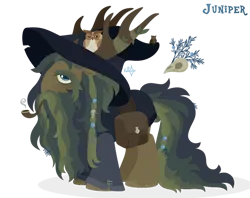 Size: 1024x809 | Tagged: safe, artist:kabuvee, derpibooru import, oc, oc:juniper, bird, owl, pony, antlers, bag, beard, facial hair, hat, image, male, png, saddle bag, simple background, solo, stallion, transparent background, wizard hat