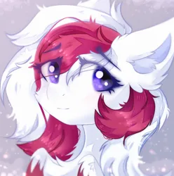 Size: 2940x2965 | Tagged: safe, artist:lime noise, derpibooru import, oc, oc:red wine, unofficial characters only, pegasus, bust, chest fluff, digital art, image, pegasus oc, png, portrait, simple background, solo, two toned mane, wings