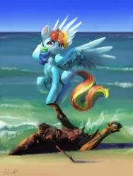 Size: 3000x4000 | Tagged: safe, artist:flvski, derpibooru import, rainbow dash, pegasus, pony, beach, chest fluff, female, hoof fluff, image, jpeg, leg fluff, mare, ocean, outdoors, signature, sky, solo, spread wings, water, wing fluff, wings