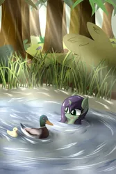 Size: 1365x2048 | Tagged: safe, artist:phoenixswift, derpibooru import, oc, oc:ripple, unofficial characters only, bird, duck, merpony, pony, unicorn, fanfic:the one who got away, cover art, duckling, fanfic art, female, filly, foal, forest, horn, image, nature, open mouth, png, smiling, solo, swimming, tree, water
