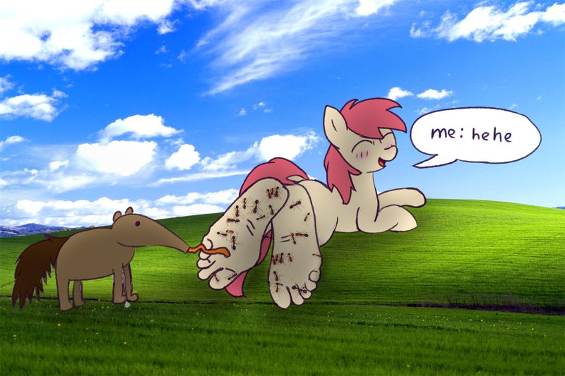 Size: 3000x2000 | Tagged: safe, ponerpics import, insect, pony, ants, feet, female, image, microsoft, png, ponerpics exclusive, wallpaper, wallpaper for the fearless, windows, windows xp