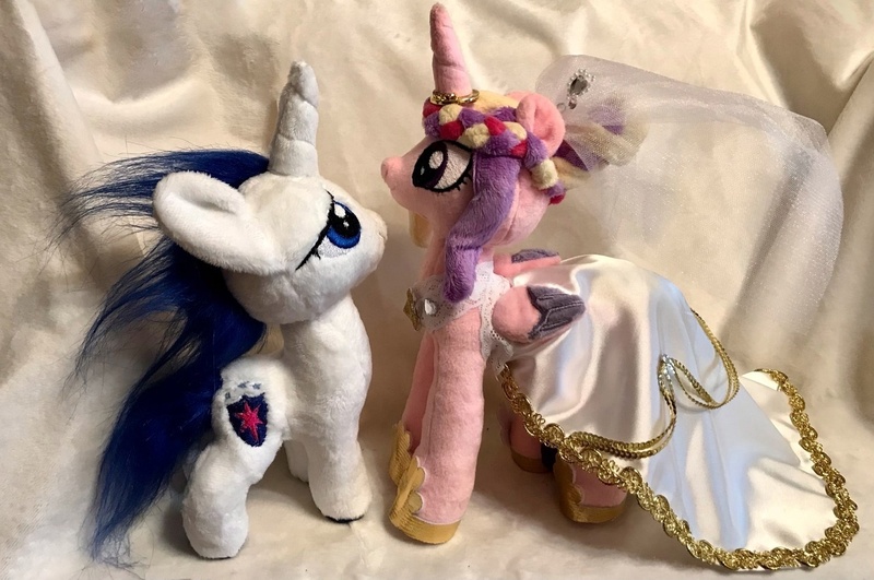 Size: 1280x850 | Tagged: safe, artist:crazyditty, derpibooru import, princess cadance, shining armor, image, irl, jpeg, photo, plushie, the bride and the ugly ass groom