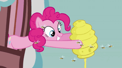 Size: 749x421 | Tagged: safe, derpibooru import, screencap, pinkie pie, bee, insect, pony, apple family reunion, animated, food, g4, gif, honey, image, solo
