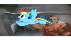 Size: 640x360 | Tagged: safe, derpibooru import, rainbow dash, pegasus, pony, animated, blue coat, cutie mark, flapping, flapping wings, flying, g4, gif, hooves out, image, live action, looking up, multicolored hair, open mouth, purple eyes, rainbow hair, reaching, science fiction, smiling, solo, spaceship, spinning, spread wings, tail, wings