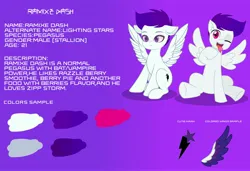 Size: 3600x2466 | Tagged: safe, artist:ramixe dash, derpibooru import, oc, oc:ramixe dash, pegasus, pony, g5, base used, g4, g5 to g4, generation leap, gradient background, gradient hair, image, jpeg, magenta eyes, male, purple background, purple hair, reference sheet, simple background, solo, spread wings, stallion, text, wings