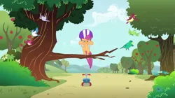 Size: 1295x725 | Tagged: safe, derpibooru import, screencap, scootaloo, pegasus, pony, the show stoppers, female, g4, helmet, image, jumping, png, scootaloo's scooter, tree, tree branch