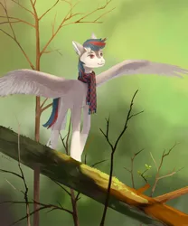 Size: 2500x3000 | Tagged: safe, artist:sivelu, derpibooru import, oc, unofficial characters only, pegasus, pony, clothes, forest, image, jpeg, male, nature, scarf, solo, spread wings, stallion, tree, wings