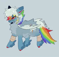 Size: 1218x1179 | Tagged: safe, alternate version, artist:tiggs2_0, derpibooru import, rainbow dash, pegasus, pony, alternate design, bandage, bandaid, bandaid on nose, chest fluff, female, g4, gray background, image, jpeg, mare, simple background, solo, twitterina design, unshorn fetlocks