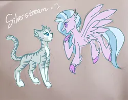 Size: 1530x1200 | Tagged: safe, artist:wimple, derpibooru import, silverstream, cat, hippogriff, crossover, facing each other, female, flying, image, jpeg, warrior cats
