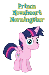 Size: 1417x2158 | Tagged: safe, anonymous artist, author:shakespearicles, derpibooru import, oc, oc:prince novaheart morningstar, unofficial characters only, alicorn, pony, fanfic:cat's cradle, alicorn oc, closed mouth, colt, eyebrows, eyes open, foal, horn, image, implied inbreeding, implied incest, inbreeding, incest, looking, looking at you, looking back, looking back at you, male, name, nostrils, offspring, parent:oc:prince aster novaheart, parent:oc:princess selene novaheart, parents:oc:novahearts, png, product of incest, shakespearicles, simple background, solo, standing, text, transparent background, wings