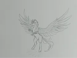 Size: 4624x3468 | Tagged: safe, artist:hkpegasister, derpibooru import, oc, oc:silver argent, unofficial characters only, hippogriff, pony, absurd resolution, grayscale, image, jpeg, male, monochrome, pencil drawing, ponygriff, rearing, smiling, solo, spread wings, stallion, traditional art, wings