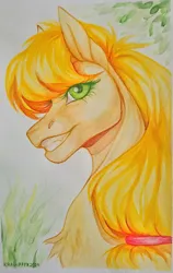 Size: 1366x2160 | Tagged: safe, artist:dementra369, derpibooru import, applejack, earth pony, pony, bust, chest fluff, g4, grin, image, jpeg, missing freckles, portrait, smiling, solo, traditional art, watercolor painting