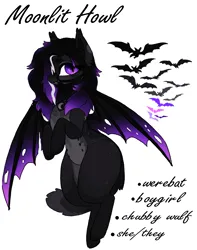 Size: 1500x1900 | Tagged: safe, artist:left4deadd, derpibooru import, oc, oc:moonlit howl, bat pony, pony, undead, vampire, vampony, wolf, wolf pony, image, nipple on stomach, nipples, nudity, png, pony oc, reference sheet, ripped wings, simple background, werebat, white background, wings