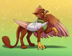 Size: 3600x2800 | Tagged: safe, artist:jack-pie, derpibooru import, oc, oc:pavlos, gryphon, bandage, beak, broken bone, broken wing, cast, cheek fluff, claws, clothes, colored wings, commission, eared griffon, gradient background, griffon oc, image, injured, male, non-pony oc, png, simple background, sling, tail, thinking, wing hands, wings