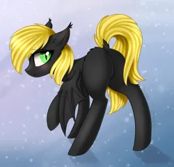 Size: 1489x1432 | Tagged: safe, artist:queenofsilvers, derpibooru import, oc, oc:zafareon, unofficial characters only, bat pony, pony, bat ears, bat pony oc, bat wings, blushing, butt, butt fluff, commission, dock, ear fluff, ear tufts, eye clipping through hair, eyebrows, eyebrows visible through hair, featureless crotch, female, image, leg fluff, looking at you, looking back, looking back at you, mare, plot, png, raised hoof, signature, slit pupils, smiling, smiling at you, solo, spread wings, tail, wings, wings down