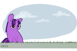 Size: 560x367 | Tagged: safe, artist:erein, derpibooru import, twilight sparkle, pony, unicorn, animated, big ears, big eyes, chibi, cloud, colored, cute, ears up, female, flat colors, g4, gif, grass, horn, image, looking at you, multicolored hair, multicolored tail, sketch, sky, smiling, smiling at you, solo, tail