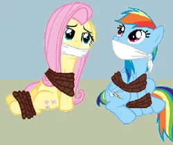 Size: 499x417 | Tagged: safe, artist:alexarmstrong2287, derpibooru import, fluttershy, rainbow dash, pegasus, pony, bondage, bound and gagged, cloth gag, gag, image, png, tied up