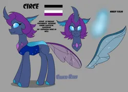 Size: 3168x2288 | Tagged: safe, derpibooru import, oc, unofficial characters only, changedling, changeling, changedling oc, changeling oc, g4, image, png, ponysona, reference, reference sheet, solo