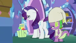 Size: 1920x1088 | Tagged: safe, derpibooru import, screencap, rarity, spike, dragon, unicorn, dragon dropped, season 9, spoiler:s09, disappointed, duo, duo focus, frame, frown, g4, horn, image, jpeg, purple mane, white fur