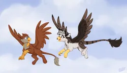 Size: 2256x1302 | Tagged: safe, artist:rutkotka, derpibooru import, oc, oc:ospreay, oc:peregrine, gryphon, beak, blue eyes, cloud, commission, cute, duo, hair, happy, image, jpeg, looking at each other, looking at someone, markings, sketch, sky, smiling, smiling at each other, tail, watermark, wholesome, wings, yellow eyes