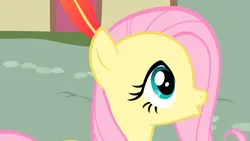 Size: 1920x1080 | Tagged: safe, derpibooru import, screencap, fluttershy, pegasus, pony, a bird in the hoof, :o, duckface, feather, female, g4, image, mare, open mouth, png, solo