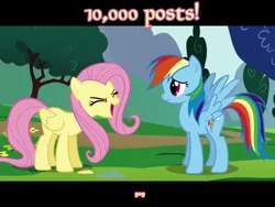 Size: 640x480 | Tagged: safe, derpibooru import, fluttershy, rainbow dash, pegasus, pony, 10000, day, duo, english, eyes closed, female, full body, get, image, mare, open mouth, png, text, yay
