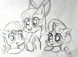 Size: 2742x2000 | Tagged: safe, artist:masichundepaofu, derpibooru import, apple bloom, scootaloo, sweetie belle, earth pony, pegasus, pony, unicorn, cutie mark crusaders, female, filly, foal, horn, image, jpeg, simple background, smiling, traditional art, white background