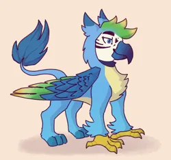 Size: 640x600 | Tagged: safe, artist:spicyricec00ker, derpibooru import, gallus, bird, gryphon, hybrid, macaw, parrot, parrot griffon, alternate design, colored wings, eared griffon, g4, image, macaw griffon, male, png, redesign, simple background, solo, wings
