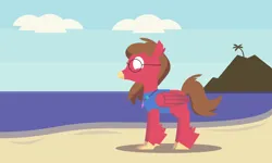 Size: 2000x1200 | Tagged: safe, artist:gd_inuk, derpibooru import, oc, oc:will guide, classical hippogriff, hippogriff, beach, classical hippogriffied, clothes, cloud, g4, glasses, hippogriffied, image, jewelry, male, necklace, no pupils, ocean, palm tree, png, sand, shadow, shirt, sky, solo, species swap, tree, water