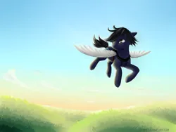 Size: 1600x1200 | Tagged: safe, artist:kaermter, derpibooru import, oc, unofficial characters only, earth pony, pony, artificial wings, augmented, flying, image, male, png, scar, solo, stallion, wings