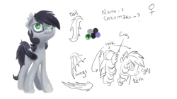 Size: 2000x1125 | Tagged: safe, artist:kaermter, derpibooru import, oc, unofficial characters only, bat pony, pony, ear tufts, fangs, female, image, mare, png, reference sheet, solo