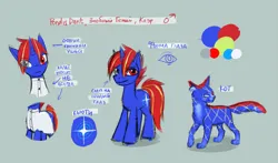 Size: 2431x1425 | Tagged: safe, artist:kaermter, derpibooru import, oc, oc:pondis dant, unofficial characters only, cat, pony, unicorn, clothes, gray background, heterochromia, horn, image, male, png, reference sheet, self paradox, self ponidox, shirt, simple background, solo, stallion