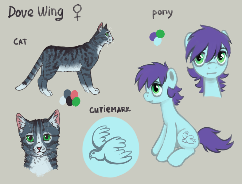 Size: 1442x1098 | Tagged: safe, artist:kaermter, derpibooru import, oc, oc:dovewing, unofficial characters only, cat, earth pony, pony, female, image, mare, png, reference sheet, simple background, sitting