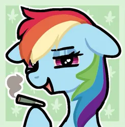 Size: 471x479 | Tagged: safe, artist:twilypie, derpibooru import, rainbow dash, pegasus, pony, blunt, bust, drug use, drugs, female, floppy ears, g4, heart, heart eyes, image, jpeg, lidded eyes, looking at you, mare, marijuana, marijuana leaf, open mouth, open smile, outline, passepartout, smiling, smiling at you, solo, wingding eyes
