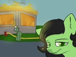 Size: 4000x3001 | Tagged: safe, artist:dumbwoofer, derpibooru import, oc, oc:anonfilly, earth pony, pony, building, ear fluff, female, filly, fire, fire hydrant, firefighter, foal, grass, image, looking at you, meme, png, road, smiling, smoke, smug