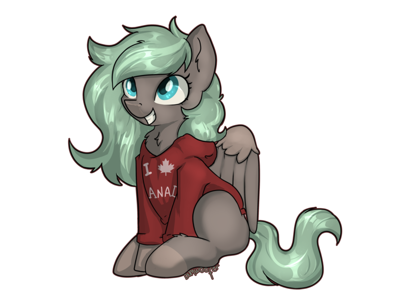 Size: 4000x3001 | Tagged: safe, artist:dumbwoofer, derpibooru import, oc, oc:forest air, pegasus, pony, chest fluff, clothes, ear fluff, excited, female, happy, hoodie, image, maple leaf, mare, png, simple background, sitting, smiling, solo, text, transparent background