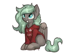 Size: 4000x3001 | Tagged: safe, artist:dumbwoofer, derpibooru import, oc, oc:forest air, pegasus, pony, chest fluff, clothes, ear fluff, excited, female, happy, hoodie, image, maple leaf, mare, png, simple background, sitting, smiling, solo, text, transparent background