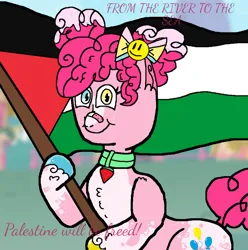 Size: 956x964 | Tagged: safe, artist:xxduncandonutxx, derpibooru import, pinkie pie, earth pony, bow, collar, flag, food, hair bow, image, palestine, png, politics, solo, text, watermelon