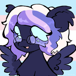 Size: 2200x2200 | Tagged: safe, artist:larvaecandy, derpibooru import, oc, oc:fluff fablewing, unofficial characters only, pegasus, pony, animated, blinking, gif, glasses, image, nonbinary, pegasus oc, pride, pride flag, solo, transgender, transgender oc, transgender pride flag, wings
