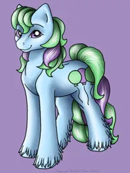 Size: 243x324 | Tagged: safe, artist:flyingpony, derpibooru import, oc, oc:buster (flyingpony), unofficial characters only, earth pony, pony, fanfic:worlds apart, image, jpeg, lavender background, male, simple background, stallion, standing, unshorn fetlocks