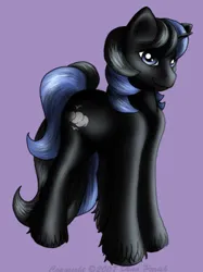 Size: 281x375 | Tagged: safe, artist:flyingpony, derpibooru import, oc, oc:skyview, unofficial characters only, pony, unicorn, fanfic:worlds apart, g1, horn, image, jpeg, lavender background, male, simple background, solo, stallion, standing