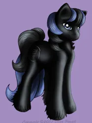 Size: 281x375 | Tagged: safe, artist:flyingpony, derpibooru import, oc, oc:stardust (flyingpony), unofficial characters only, earth pony, pony, fanfic:worlds apart, g1, image, jpeg, lavender background, male, simple background, solo, stallion, standing, unshorn fetlocks