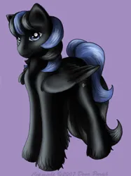 Size: 281x375 | Tagged: safe, artist:flyingpony, derpibooru import, oc, oc:starfire (flyingpony), unofficial characters only, pegasus, pony, fanfic:worlds apart, g1, image, jpeg, lavender background, male, simple background, solo, stallion, standing, unshorn fetlocks