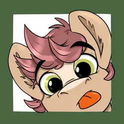 Size: 1000x1000 | Tagged: safe, artist:rutkotka, derpibooru import, oc, oc:pitch kritter pine, pony, :p, cute, image, jpeg, looking at you, male, simple background, stallion, tongue out