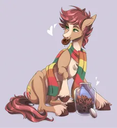 Size: 1701x1849 | Tagged: safe, derpibooru import, oc, oc:pitch kritter pine, earth pony, pony, blaze (coat marking), blushing, chest fluff, clothes, coat markings, cookie, cookie jar, cute, earth pony oc, facial markings, food, image, jpeg, male, mouth hold, scarf, simple background, sitting, socks (coat marking), stallion, unshorn fetlocks